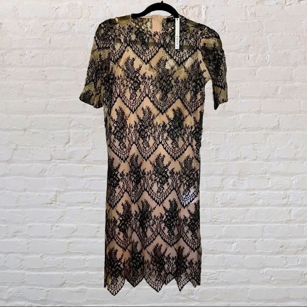 CAARA SCALLOPED LACE SHEATH DRESS - Picture 3 of 5